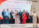 Citizen Mirror Divisional Productivity Index -1.0